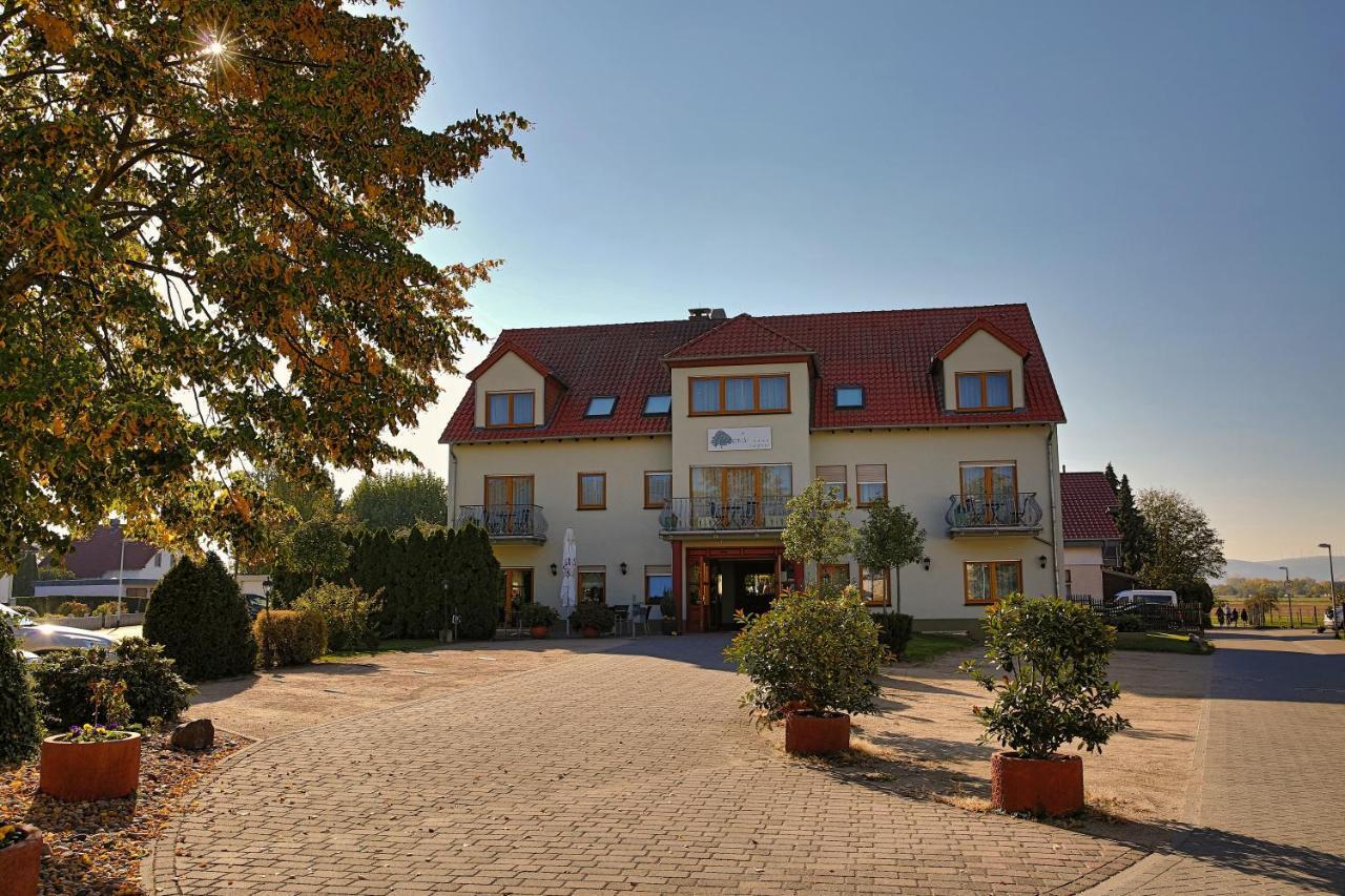 Fetzers Landhotel Ingelheim am Rhein Exterior foto